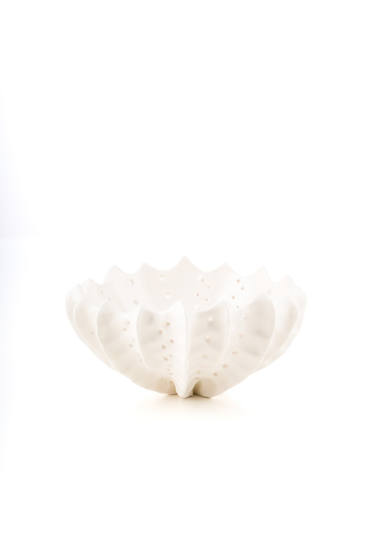 Ciotola riccio bianca