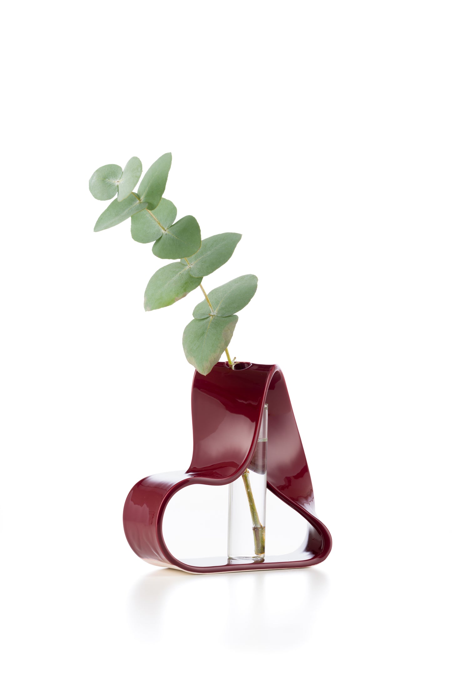 Curvy linee bordeaux