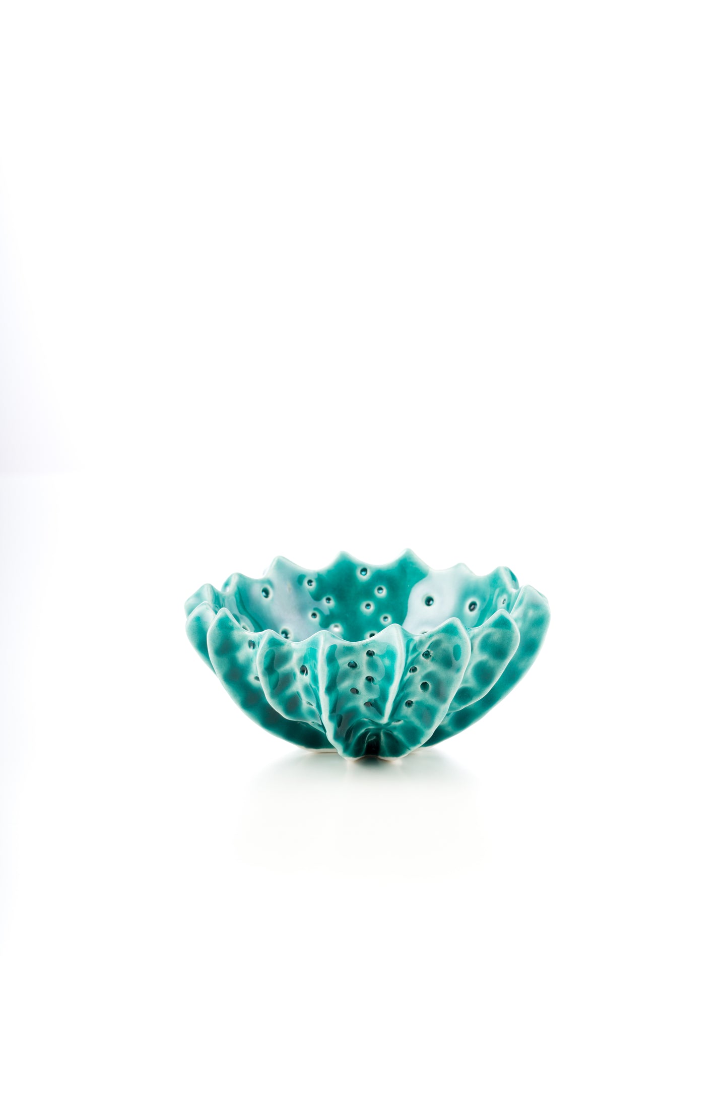 Ciotola riccio turchese
