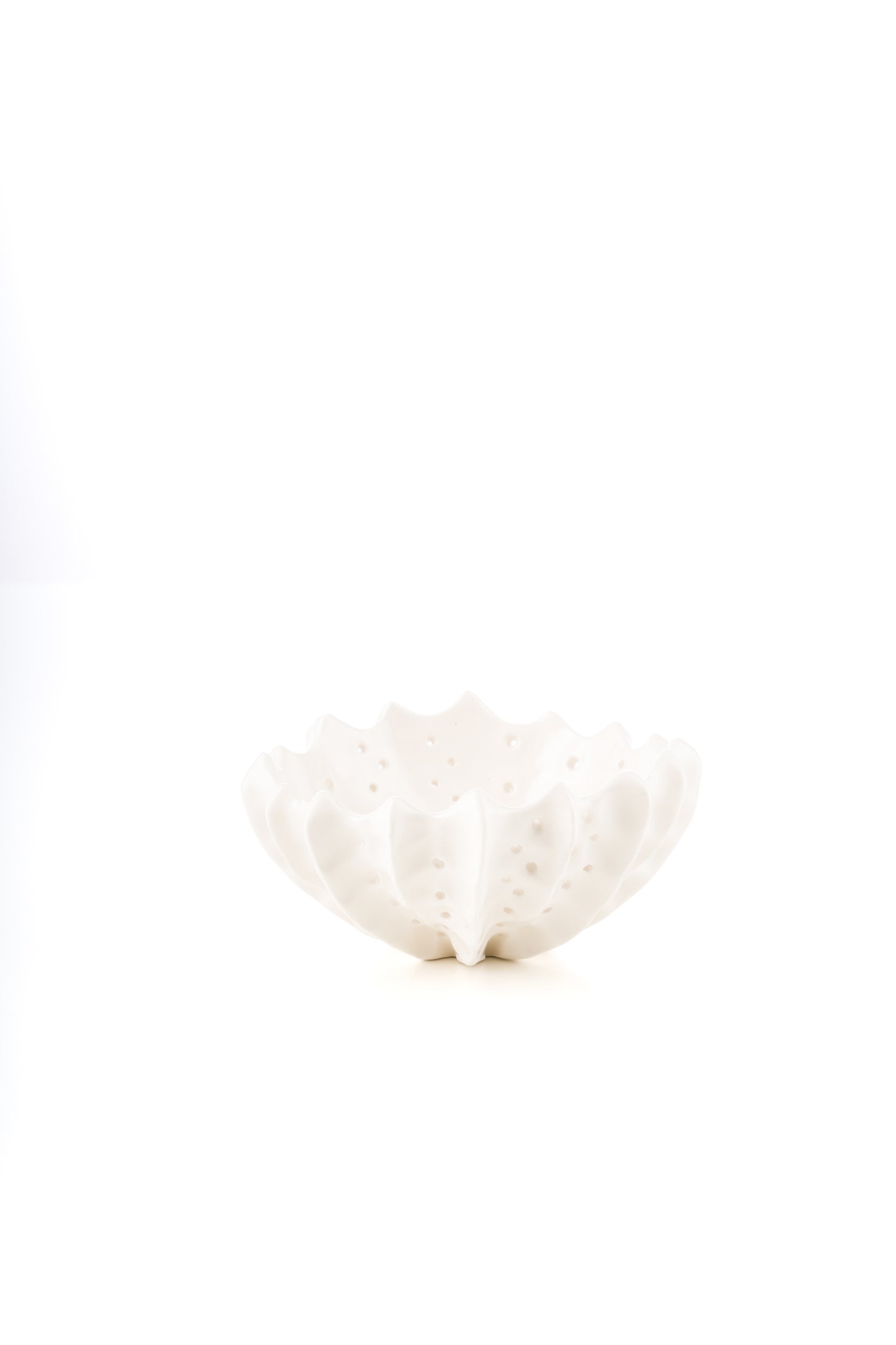 Ciotola riccio bianca