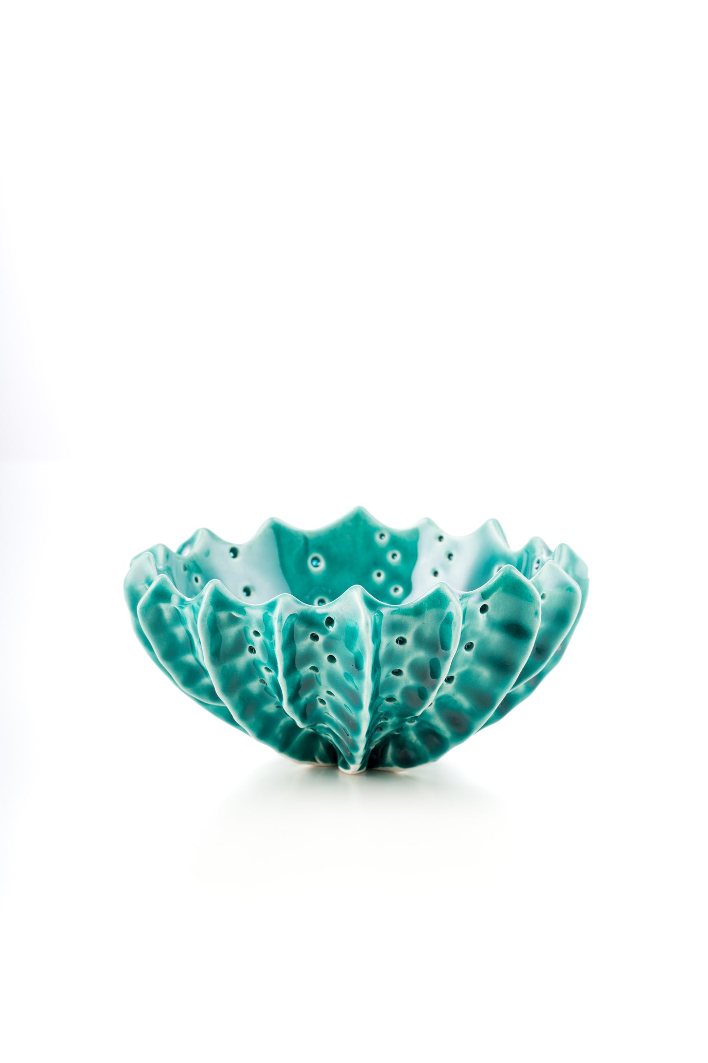 Ciotola riccio turchese