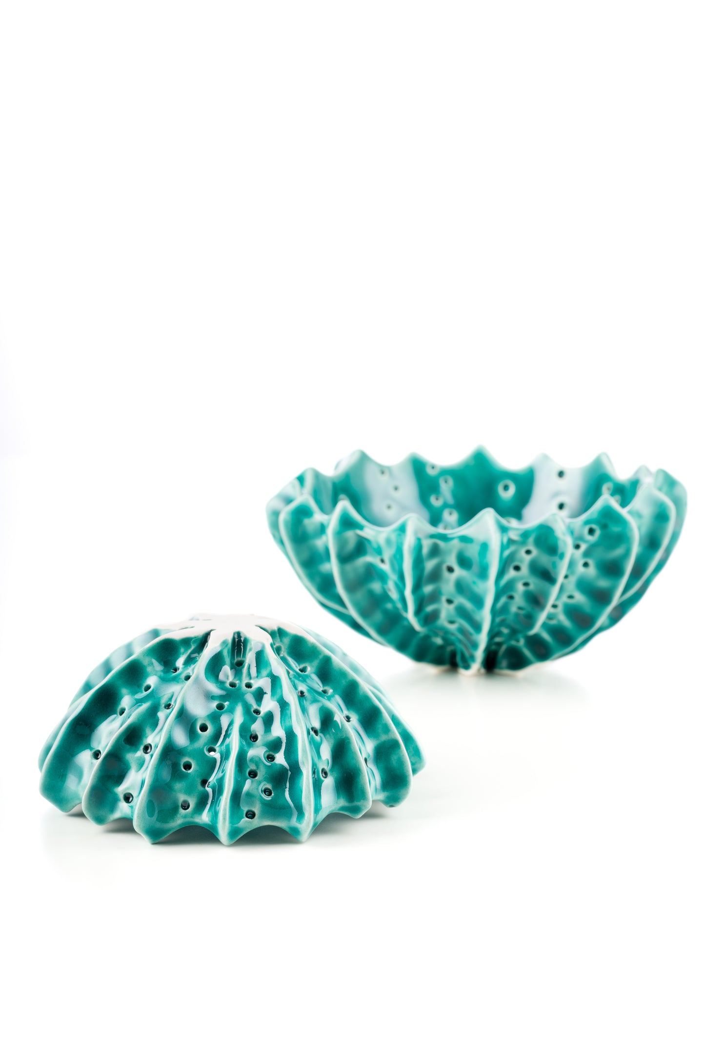 Ciotola riccio turchese