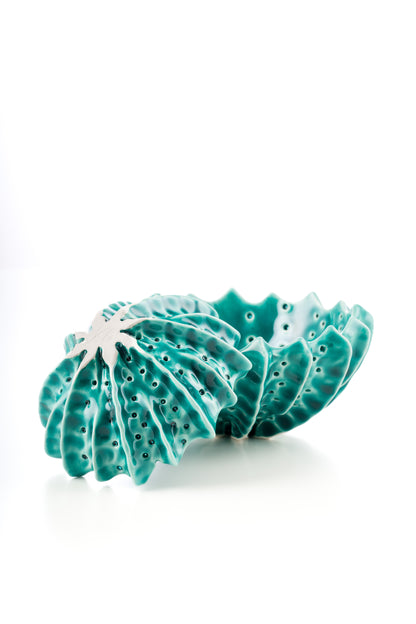 Ciotola riccio turchese